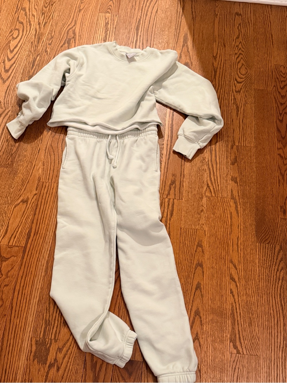 ARITZIA TNA light green Sweater and Sweatpants Joggers set